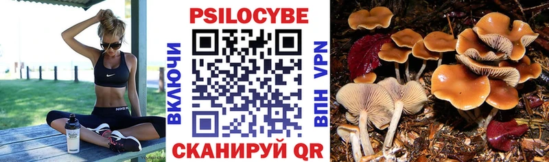 Псилоцибиновые грибы Psilocybe  Княгинино 