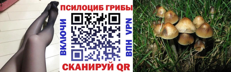Галлюциногенные грибы Cubensis Княгинино